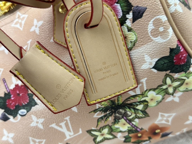 LV Speedy Bags